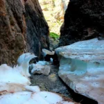 10850231_888691671164277_2492394903921763289_n