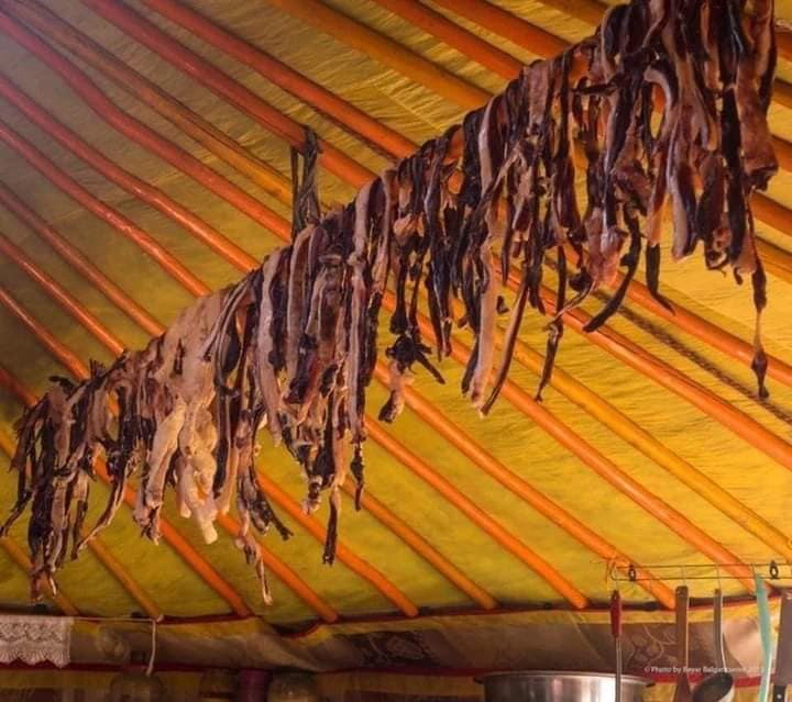 118189385_2793176084236765_1243842884522792343_n