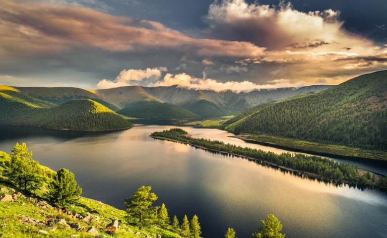 121080060_689372571679970_1305063579121492982_n