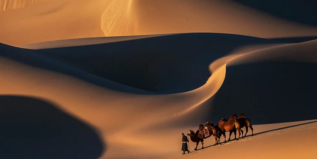 122073847_3370832716370577_2820877705583054675_n