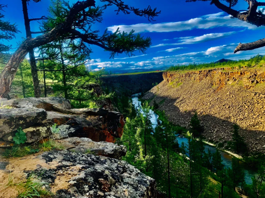 129217376_106412337995630_8344661278363298888_n