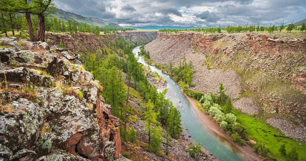 152336880_526361001677043_7800924190243634171_n