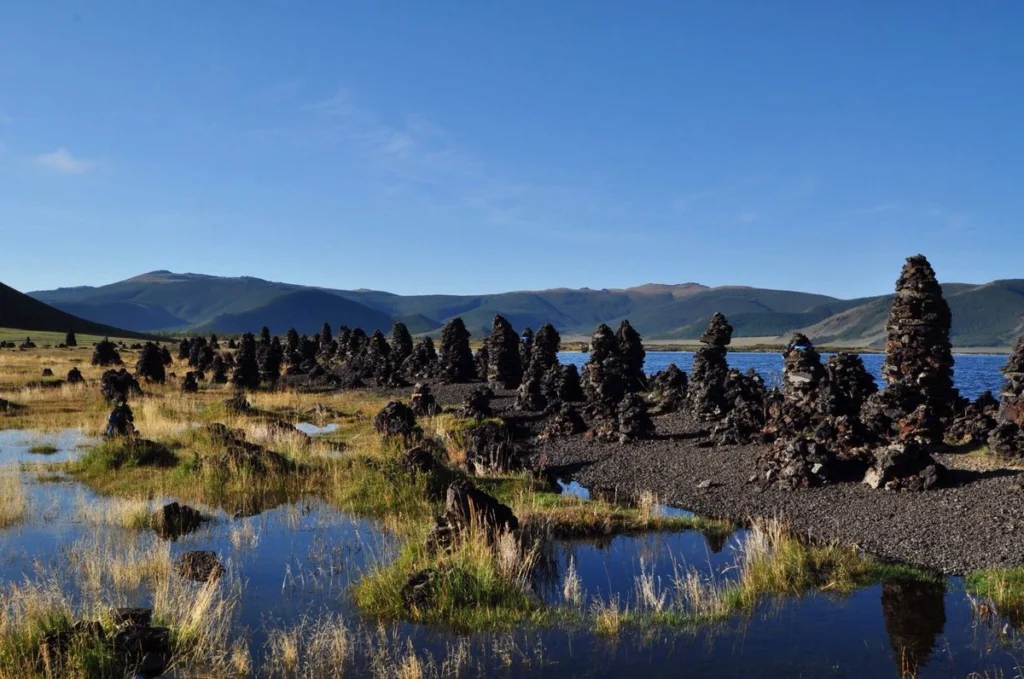 48aaa879fce4ecd93377c2936bf50e8c