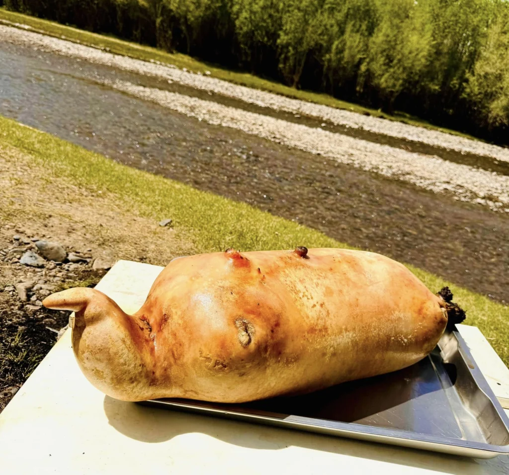 490394630_1224260083033257_6127886355854799857_n