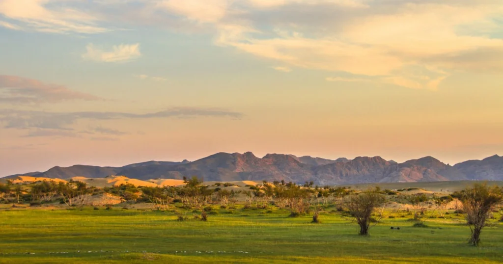 9505587b7ed4139022d0eb55e6b3d97b-1