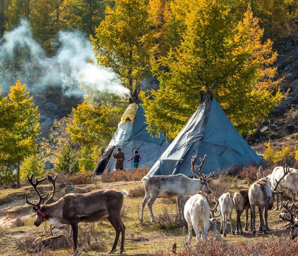 957dfc88c7127e3749842040e3328dc0