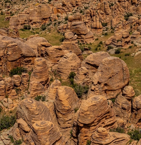 Screenshot 2026-02-27 202117