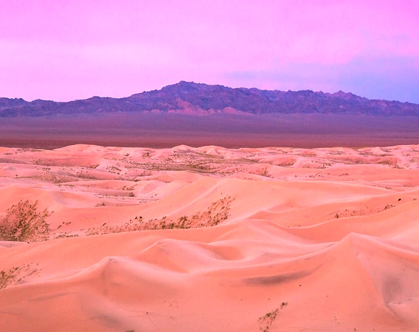 Screenshot 2026-02-27 203534