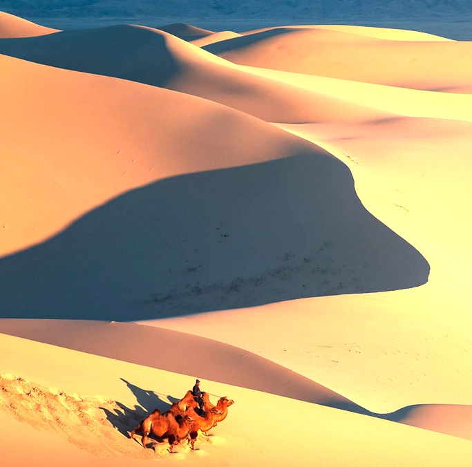 Screenshot 2026-02-27 203624