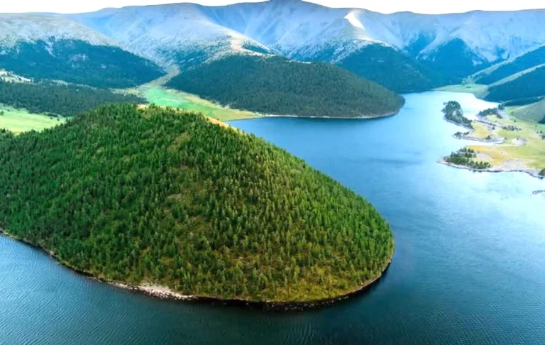 Screenshot 2026-02-28 114224