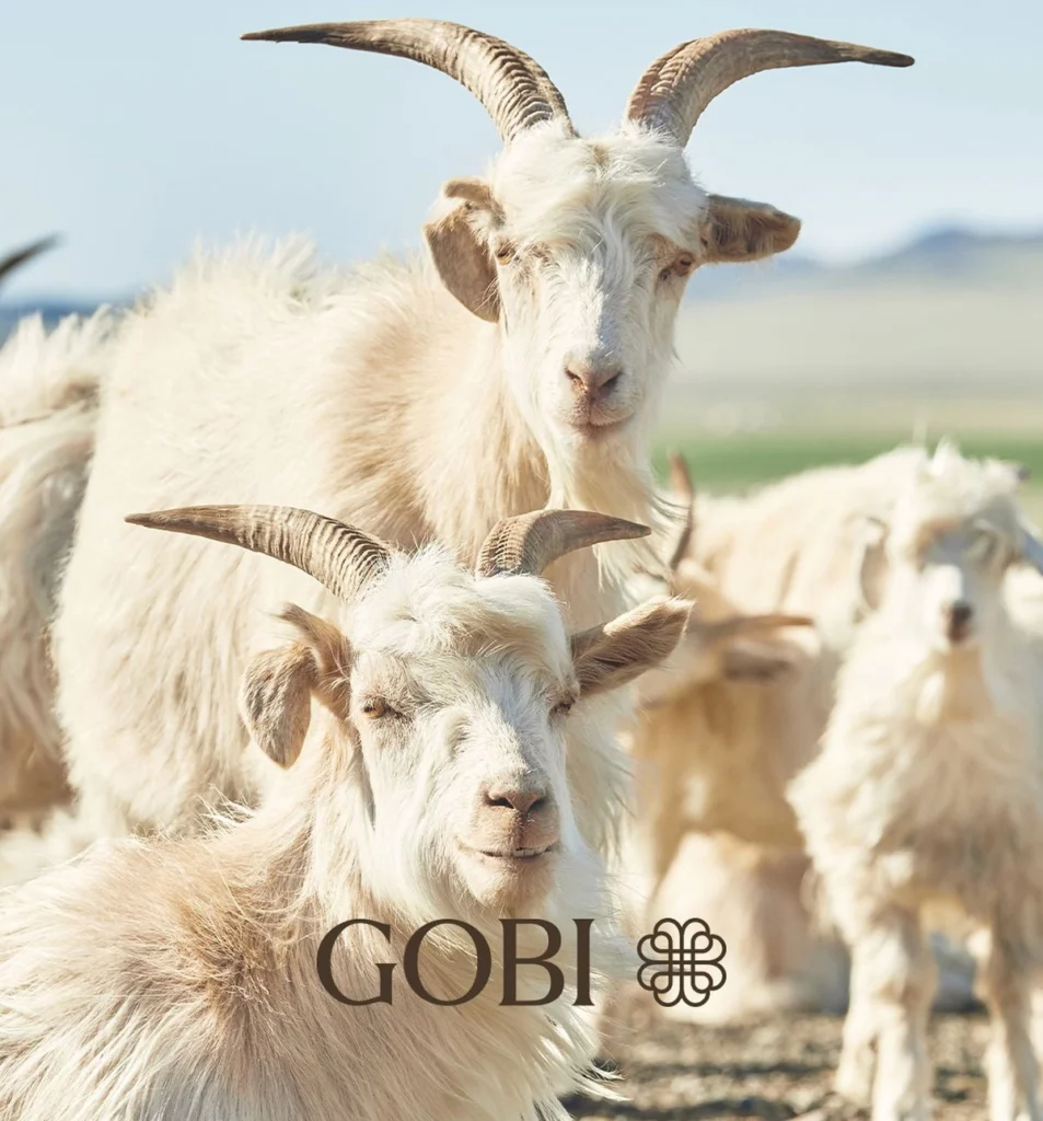 b15c7358be930adf8423af61927bab77