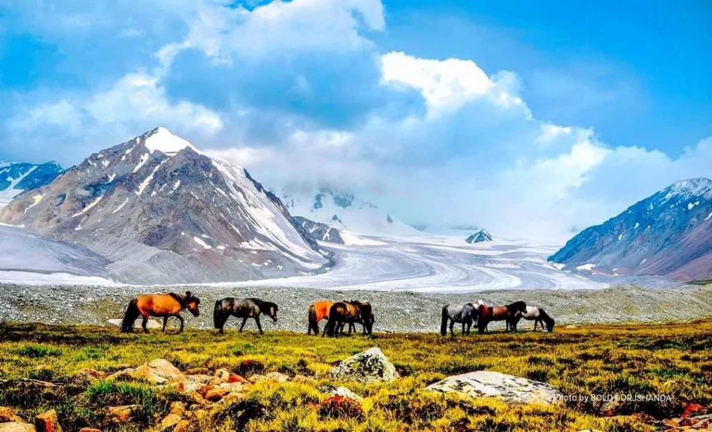 de3393f430ce5f8bc8ee7d16e099ad89