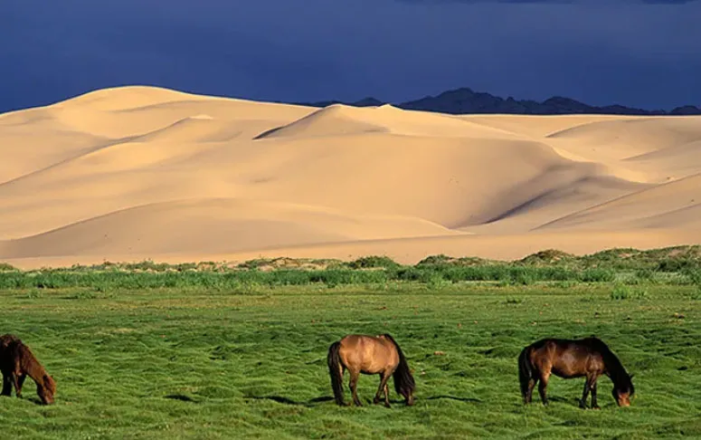 elsen-tasarkhai-mongolia